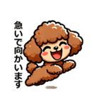 トイプードルカプリコ（敬語）（個別スタンプ：2）