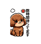 トイプードルカプリコ（敬語）（個別スタンプ：8）
