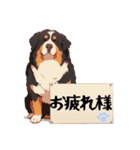 看板犬(日常会話)（個別スタンプ：9）