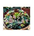 癒やしの多肉植物（個別スタンプ：13）