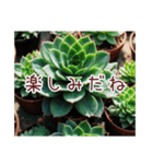 癒やしの多肉植物（個別スタンプ：16）