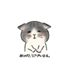 猫の妊婦さんと赤さん（個別スタンプ：3）