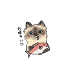 猫の妊婦さんと赤さん（個別スタンプ：8）