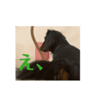 犬の言葉！！！（個別スタンプ：1）