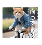 【待ち合わせに便利】バイク猫ちゃん（個別スタンプ：1）