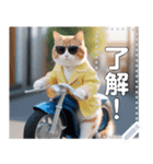 【待ち合わせに便利】バイク猫ちゃん（個別スタンプ：2）