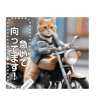 【待ち合わせに便利】バイク猫ちゃん（個別スタンプ：3）