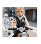 【待ち合わせに便利】バイク猫ちゃん（個別スタンプ：5）