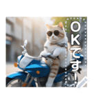 【待ち合わせに便利】バイク猫ちゃん（個別スタンプ：6）