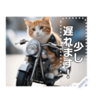 【待ち合わせに便利】バイク猫ちゃん（個別スタンプ：8）