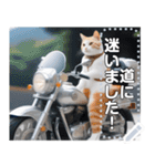 【待ち合わせに便利】バイク猫ちゃん（個別スタンプ：9）