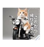 【待ち合わせに便利】バイク猫ちゃん（個別スタンプ：10）