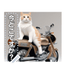 【待ち合わせに便利】バイク猫ちゃん（個別スタンプ：11）