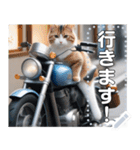 【待ち合わせに便利】バイク猫ちゃん（個別スタンプ：12）