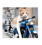 【待ち合わせに便利】バイク猫ちゃん（個別スタンプ：13）