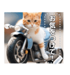 【待ち合わせに便利】バイク猫ちゃん（個別スタンプ：15）