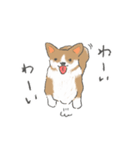 やわらかふんわりコーギー（個別スタンプ：5）