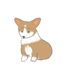 やわらかふんわりコーギー（個別スタンプ：6）
