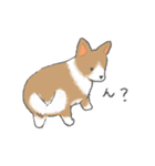 やわらかふんわりコーギー（個別スタンプ：7）