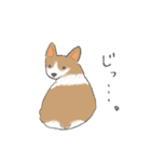 やわらかふんわりコーギー（個別スタンプ：12）