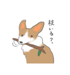 やわらかふんわりコーギー（個別スタンプ：13）