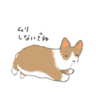 やわらかふんわりコーギー（個別スタンプ：16）