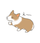 やわらかふんわりコーギー（個別スタンプ：17）