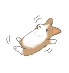 やわらかふんわりコーギー（個別スタンプ：19）