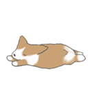 やわらかふんわりコーギー（個別スタンプ：23）