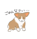 やわらかふんわりコーギー（個別スタンプ：25）