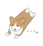 やわらかふんわりコーギー（個別スタンプ：28）