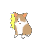 やわらかふんわりコーギー（個別スタンプ：29）