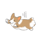 やわらかふんわりコーギー（個別スタンプ：31）