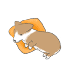 やわらかふんわりコーギー（個別スタンプ：33）
