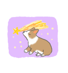 やわらかふんわりコーギー（個別スタンプ：38）