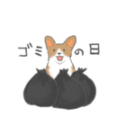 やわらかふんわりコーギー（個別スタンプ：39）