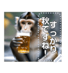 【秋】温泉で酒飲むサル（個別スタンプ：12）