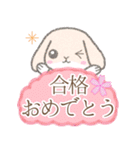 祝福※うさぎさん（個別スタンプ：21）