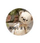 見やすい毎日teddybear（個別スタンプ：3）