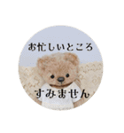 見やすい毎日teddybear（個別スタンプ：4）