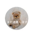 見やすい毎日teddybear（個別スタンプ：7）