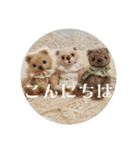 見やすい毎日teddybear（個別スタンプ：11）