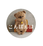 見やすい毎日teddybear（個別スタンプ：13）