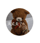 見やすい毎日teddybear（個別スタンプ：21）