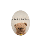 見やすい毎日teddybear（個別スタンプ：23）