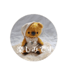 見やすい毎日teddybear（個別スタンプ：27）