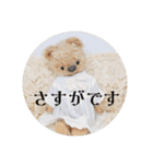 見やすい毎日teddybear（個別スタンプ：29）