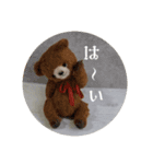 見やすい毎日teddybear（個別スタンプ：34）