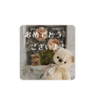 見やすい毎日teddybear（個別スタンプ：39）