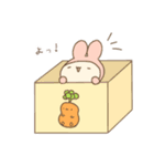 きぐるみうさ2（個別スタンプ：38）